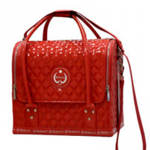 Carry Case RED 30cm.X 26cm. X 28cm with compartments CCR