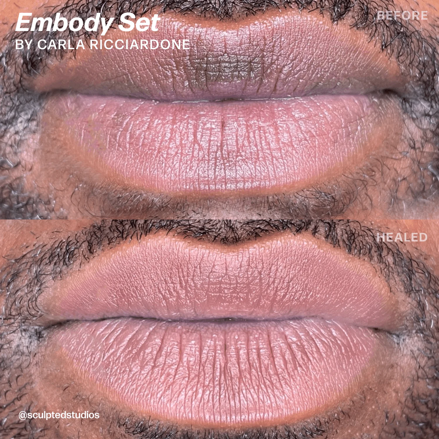 Lip Blush Pigment Set -Perma Blend LUXE Embody Set X Sculpted